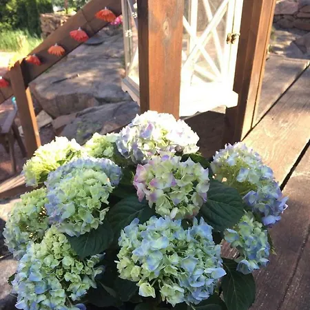 Hortensia * Mariehamn